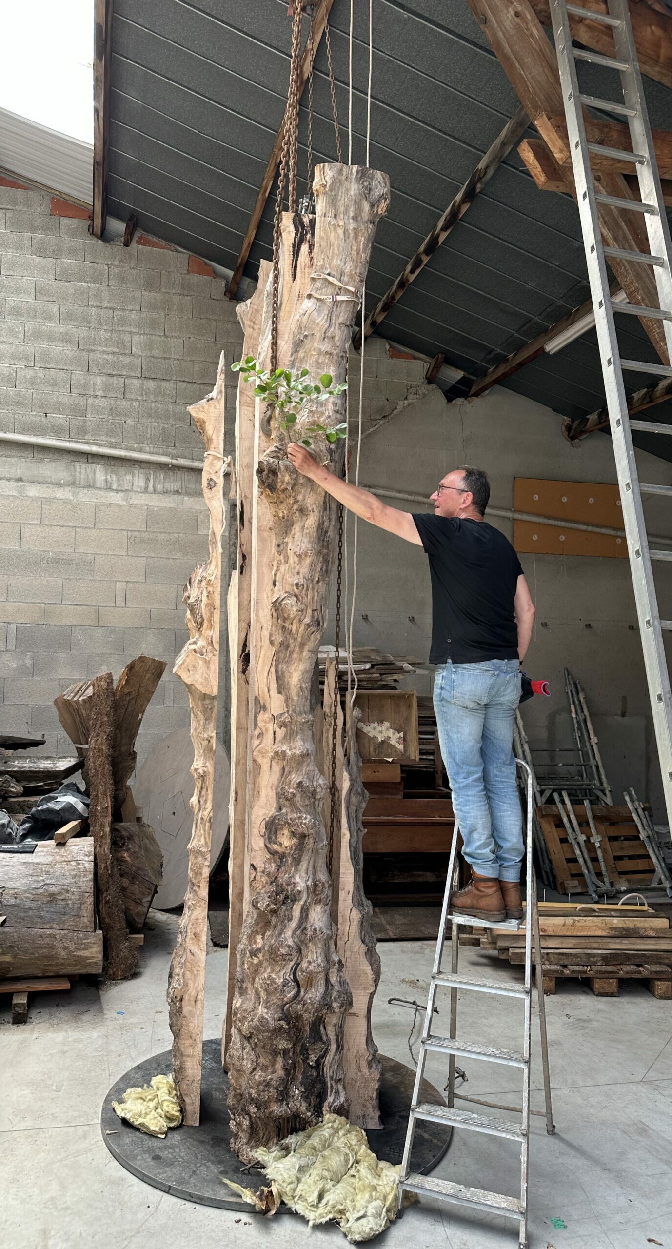 Friedrich Pfeffer travaillant sur l'orme dans son atelier
